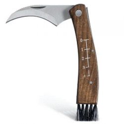 Mushroom Knife