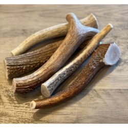 Antler Dog Chews