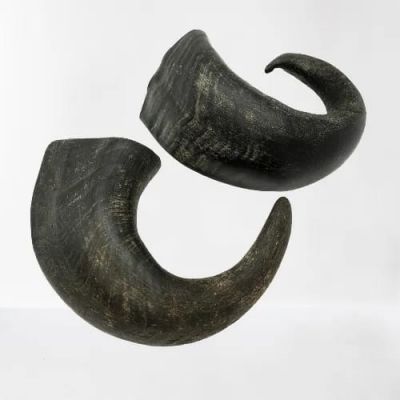 Buffalo Horn Dog Chews