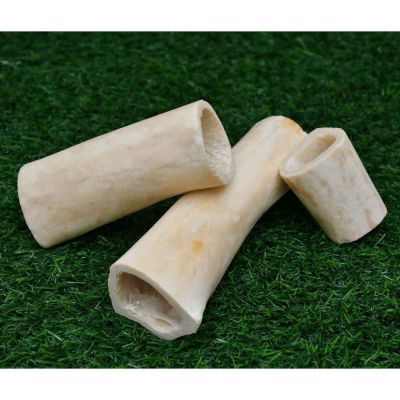 Bone Dog Chew